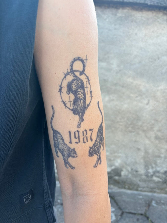 3 леопарда